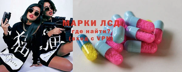 стафф Алзамай