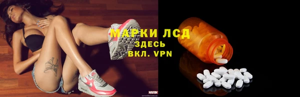 эйфоретик Аркадак