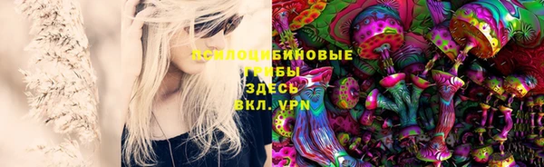 эйфоретик Аркадак
