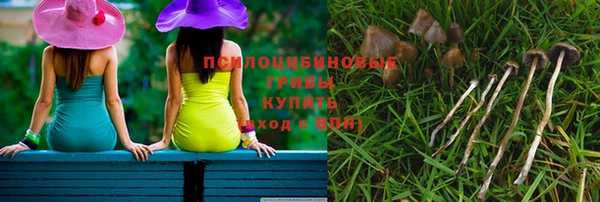 соль курить ск Алексеевка