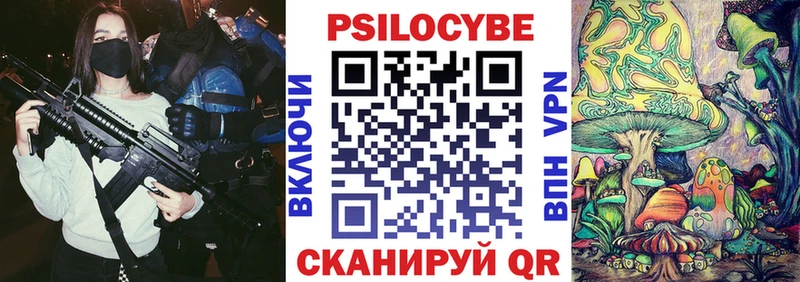 дарнет шоп  blacksprut   Псилоцибиновые грибы мицелий  Краснознаменск 