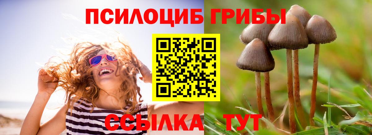 Псилоцибиновые грибы Magic Shrooms Краснознаменск