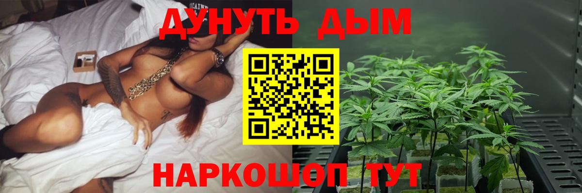 Конопля AK-47  Вход с VPN  Краснознаменск  Канабис OG Kush  МАРИХУАНА AK-47 